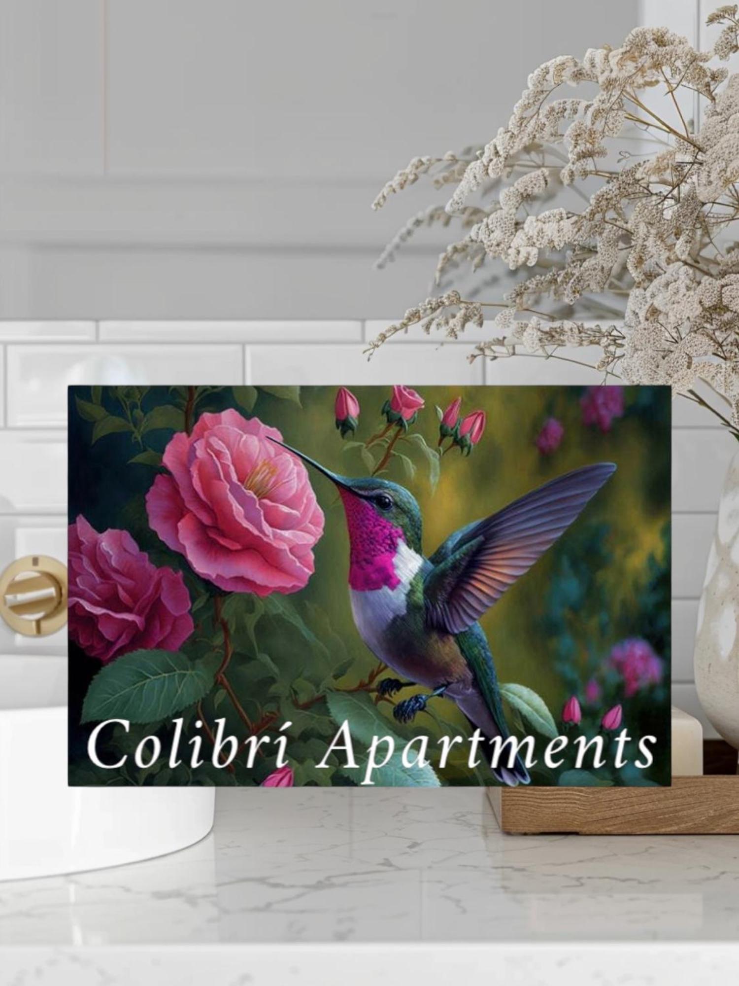 Colibri Apartamentos Vista Mar מוחקאר מראה חיצוני תמונה